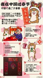 我家大门有故事