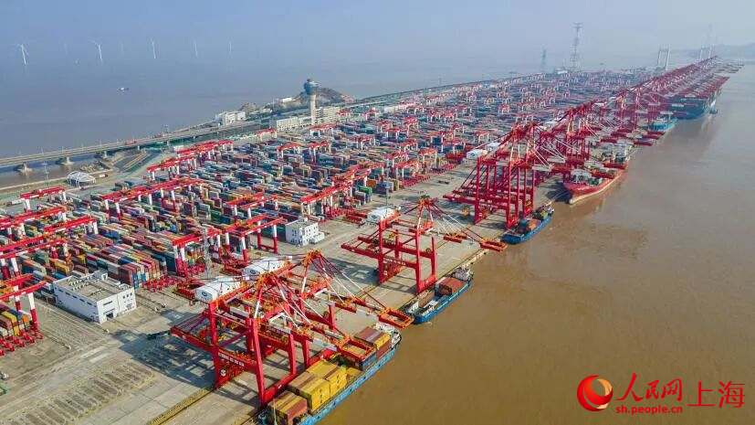 繁忙的洋山港码头。人民网记者 王初摄