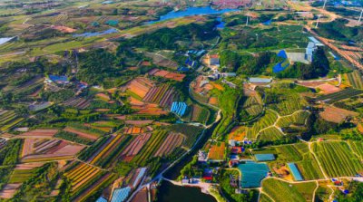 <b>片区里,春光好!山东蹚出片区化推进乡村振兴</b>