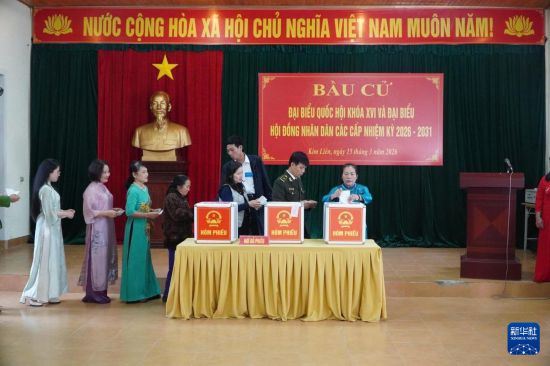 3月15日,选民在越南义安省参加投票。新华社/越通社