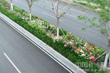 <b>中经评论：在绿化带建设中感受城市之美</b>