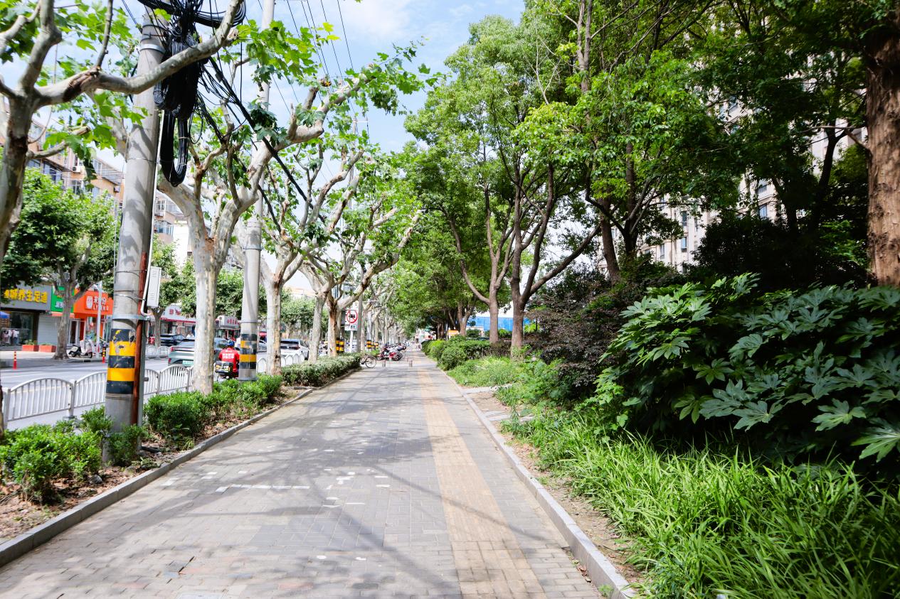 整改后，盘古路樟岭路公交站附近人行道畅通。实习生 杨雯摄